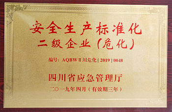 2019年四川省應急管理廳安全生產(chǎn)標準化二級企業(yè).png